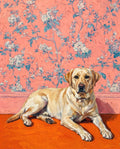 Sunroom: Sunlit Pet Portraits
